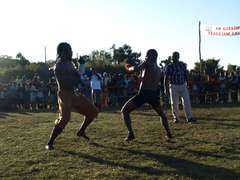 mada_moringy_2011 734 mada_moringy_2011 734