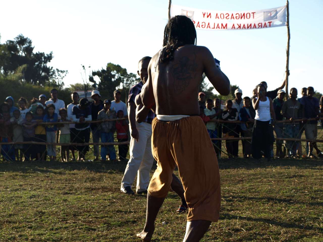 mada_moringy_2011 729 mada_moringy_2011 729