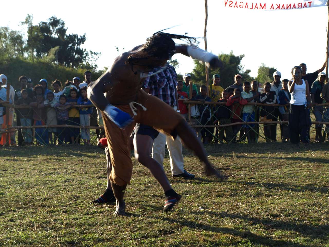 mada_moringy_2011 730 mada_moringy_2011 730