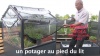 Le potager au pied du lit, une histoire vécue