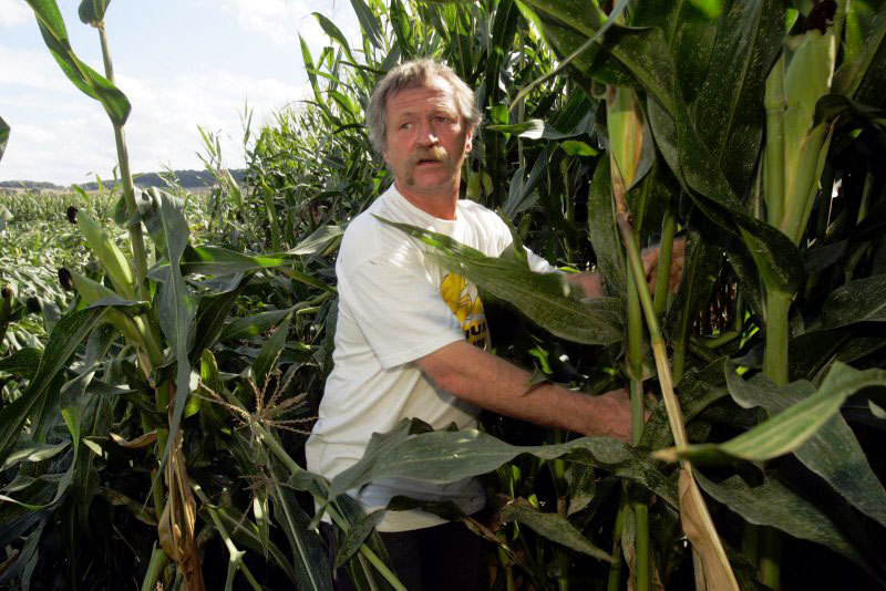 OGM : un scandale sanitaire et une exigence démocratique