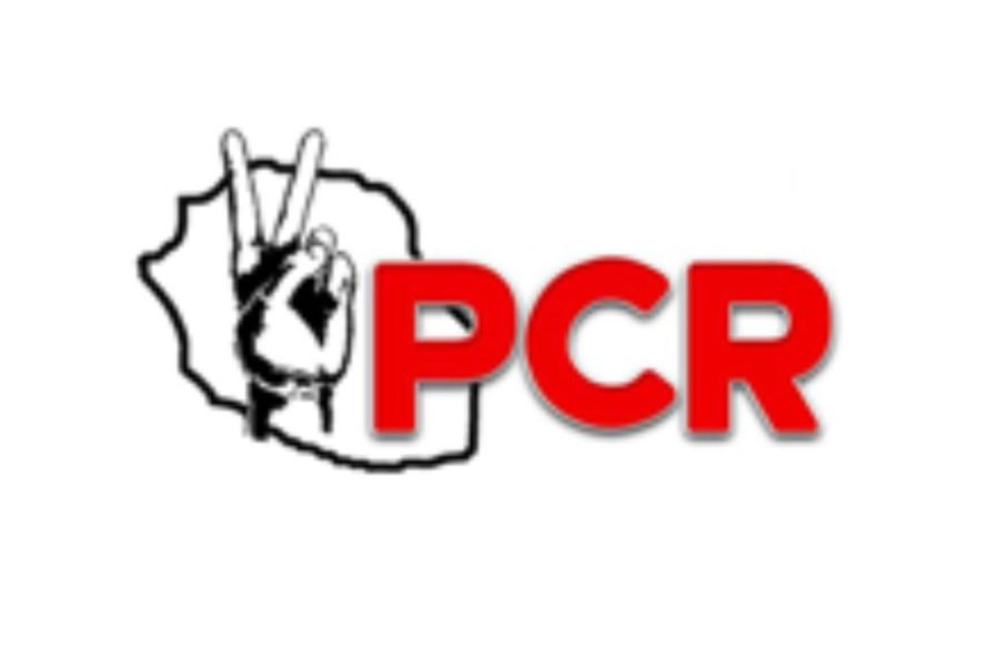 PCR : Attentats de Paris