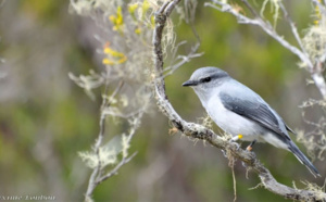 ​L'impérieuse nécessité de la biodiversité