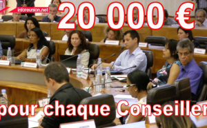 20 000 euros pour chaque Conseiller Départemental