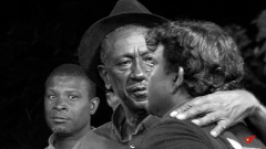 SELLO-BLB-1 SELLO-BLB-1